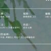 【現貨/赠加固包装】一個鋼蹦兒 | 一个钢镚儿 | 普通版 | 預售禮齊全 | 巫哲 | 葭霏 | 原耽 | 无删减 | BL