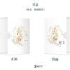 【現貨/赠加固包装】鳳雙飛 | 凤双飞 | 典藏版 | 林言 | 葭霏 | 原耽 | 无删减 | BL