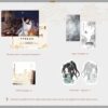 【現貨/赠加固包装】南禪1 | 南禅1 | Nanchan Vol. 1 | 英文版 | 唐酒卿 | Rosmei | 原耽 | BL