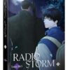 【現貨/赠加固包装】RADIO STORM | TeamS&S | 平心 | 韩漫 | BL