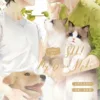 【現貨/赠加固包装】少汪幾句 | 少汪几句 | Shh! My Dear Alpha | 通贩版 | 冰块儿 | ViaLactea | 北美呆鹅 | 原耽 | 无删减 | BL