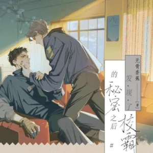【現貨/赠加固包装】發現了校霸的秘密之後 | 发现了校霸的秘密之后 | 通販版 | 無骨香蕉 | 旭儒 | 原耽 | 无删减 | BL